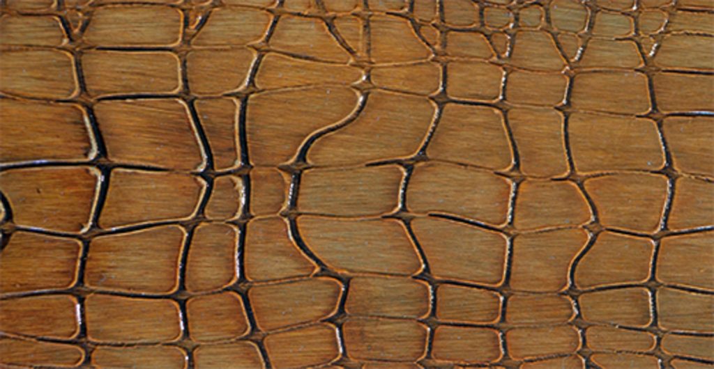 sample_croco_LARGE
